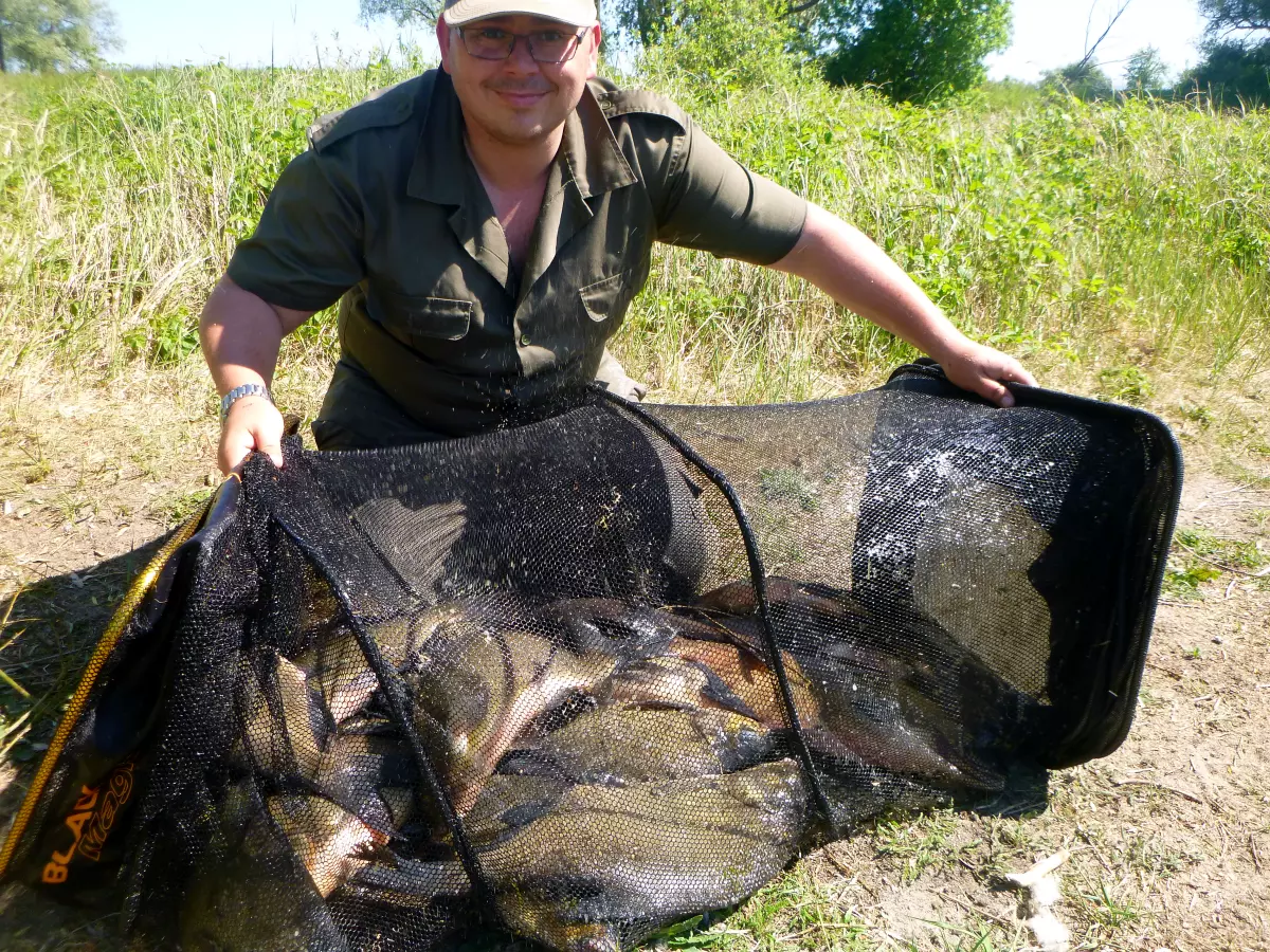 Angler mit Brassen im Kescher im Juni