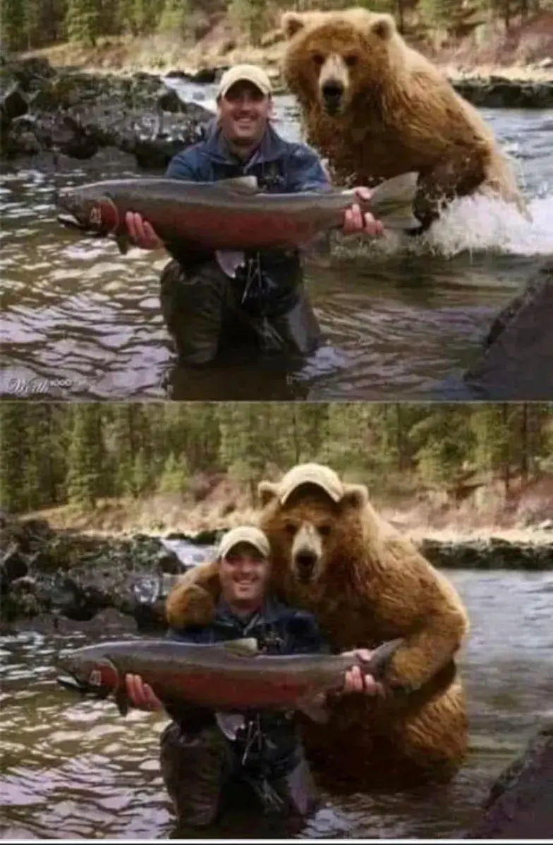 lustige Angelbilder: Bär und Angler auf einem Foto