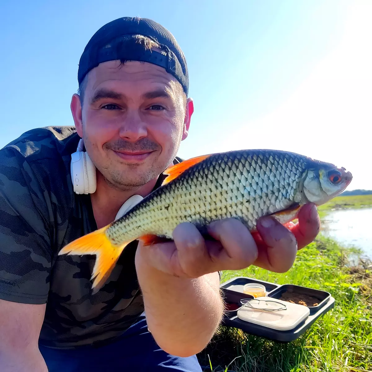 Angler mit gefangenem Rotauge beim Winkelpickern am kleinen Fluss bei Hochwasser